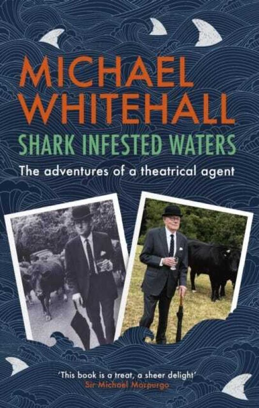 SharkInfested Waters