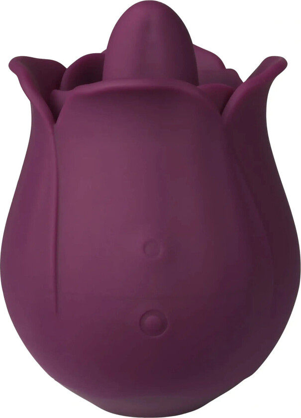 Licking Rose Vibrator Beauty Women Sex And Intimacy Vibrators Purple