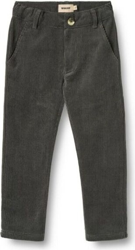 Bukse Hugo Black Sea