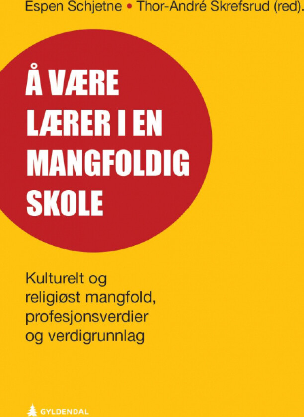 Å være lærer i en mangfoldig skole