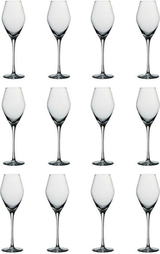 Bilde av Odyssé Champagneglass 32cl 12stk