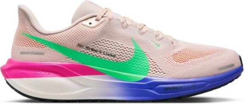 Pegasus 41 Eliud Kipchoge