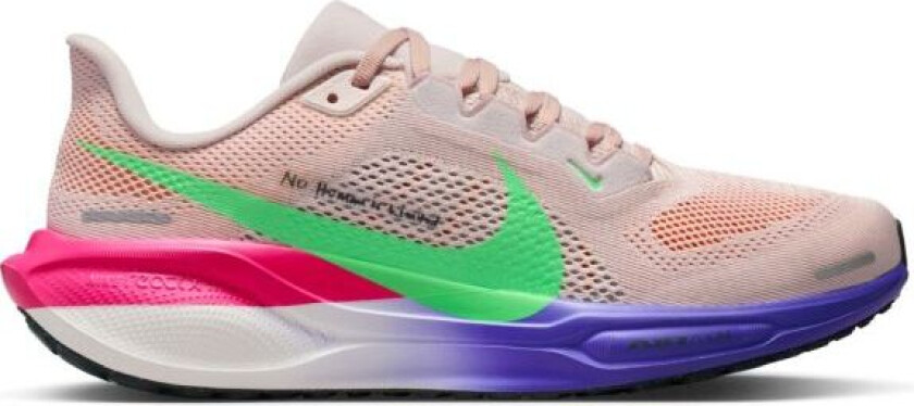 Air Zoom Pegasus 41 EK