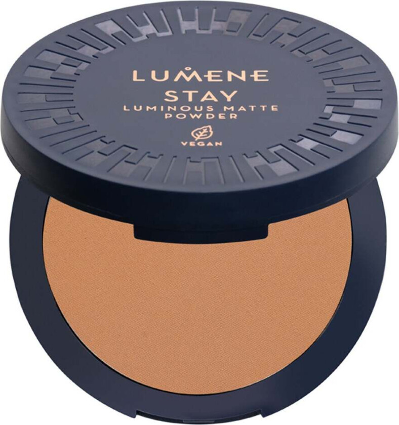 Stay Luminous Matte Powder 7