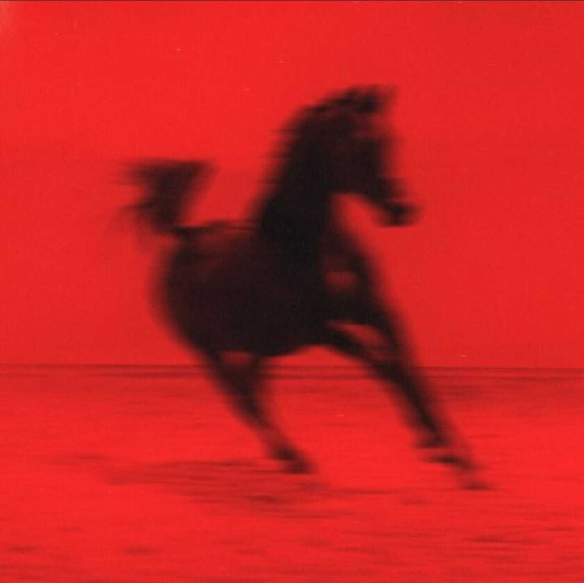 Red Rum Club Buck CD