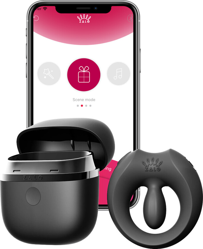 Zalo: Apis, Vibrating Couples Ring