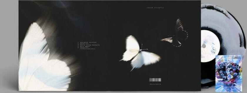 LP - Dalliance - Unisex - standard