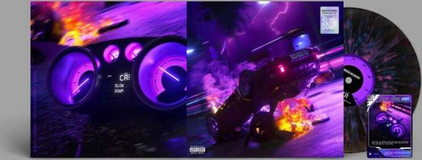 LP - Paradise - Unisex - standard