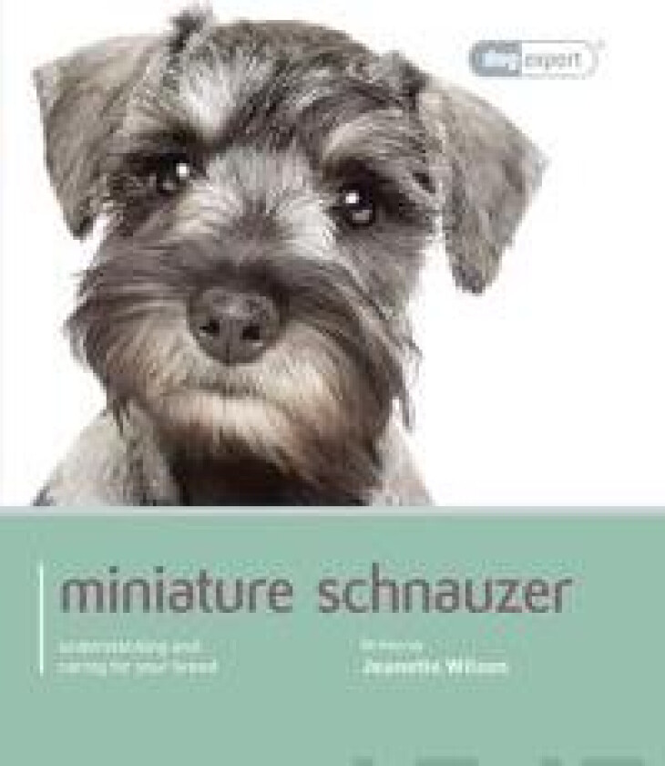 Miniature Schnauzer