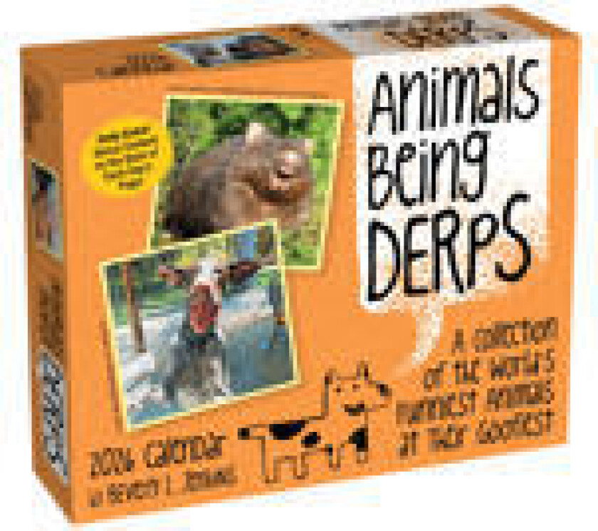 Animals Being Derps 2026 Day-to-Day Calendar