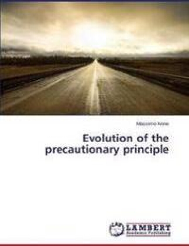 Evolution of the precautionary principle