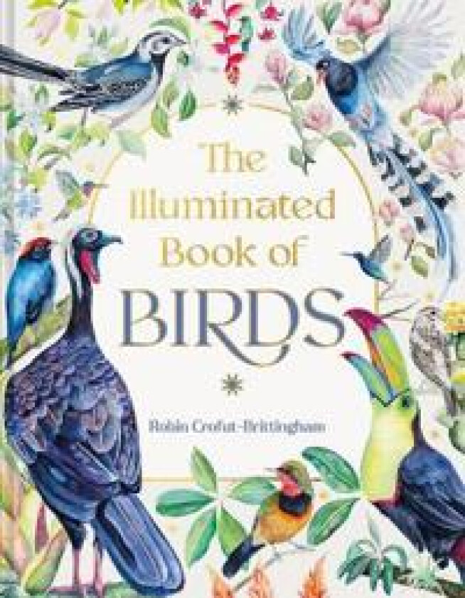 The Illuminated Book of Birds
