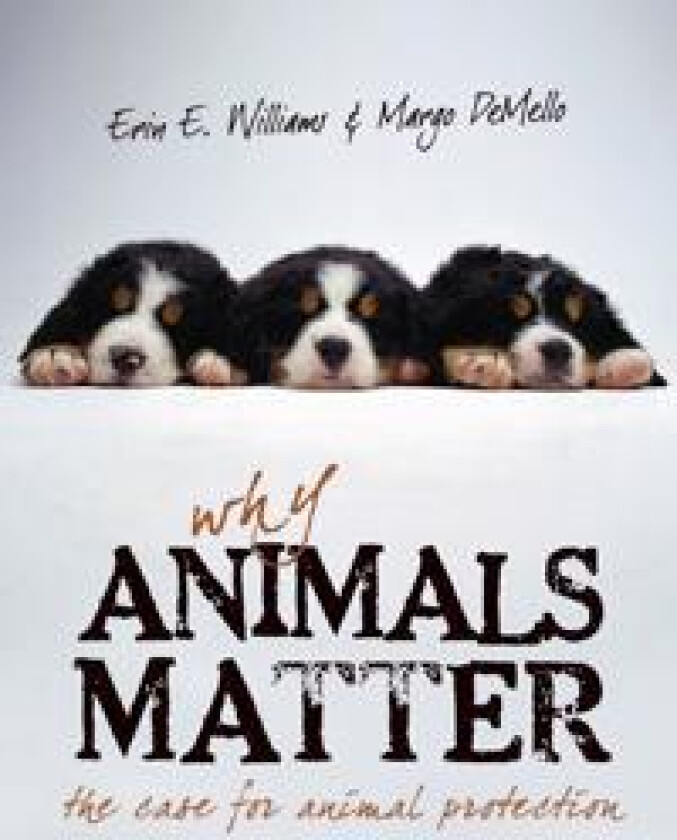 Why Animals Matter