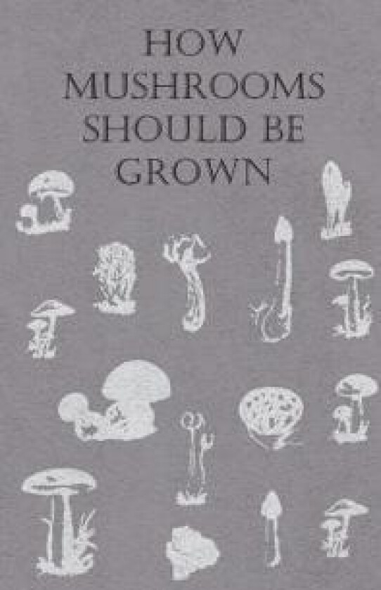 How Mushrooms Should Be Grown
