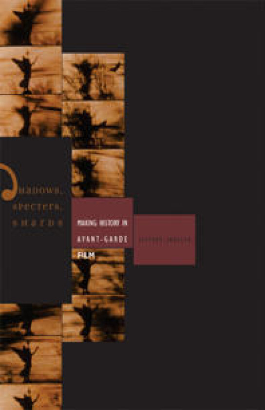 Shadows, Specters, Shards