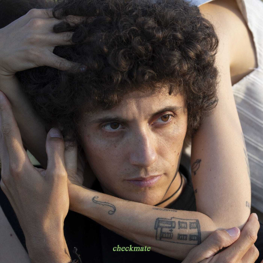 Ron Gallo Checkmate CD