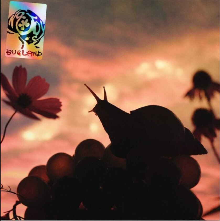 No Joy Bugland LP/Vinyl