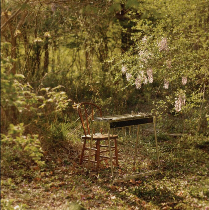 Luke Schneider For Dancing In Quiet Light LP/Vinyl