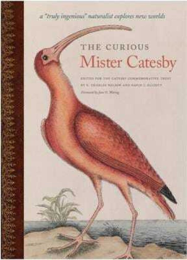 The Curious Mister Catesby A ""Truly Ingenious"" Naturalist Explores New Worlds