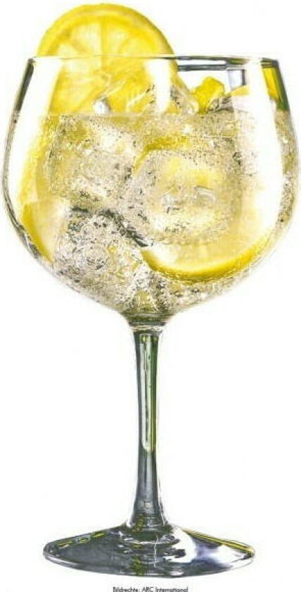 Gin Tonic Goblet Copa Glass - 720ml