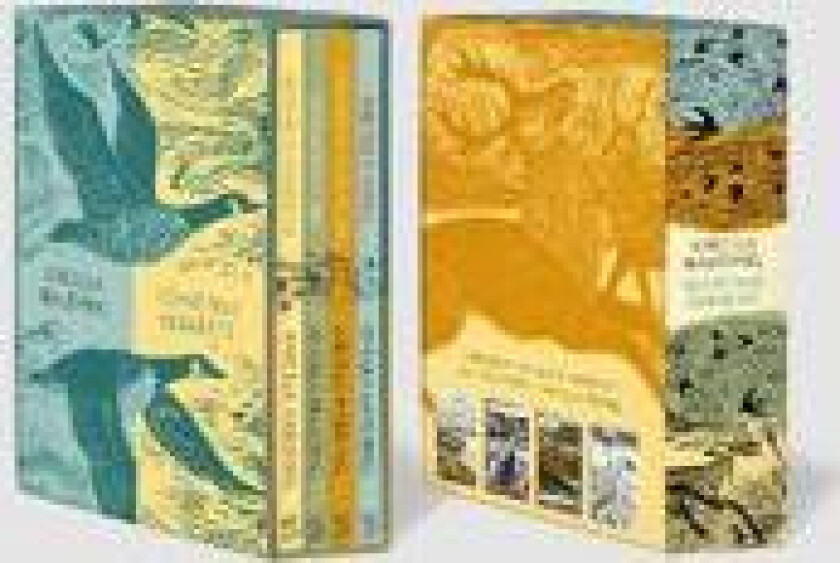 Angela Harding Seasonal Quartet Boxset