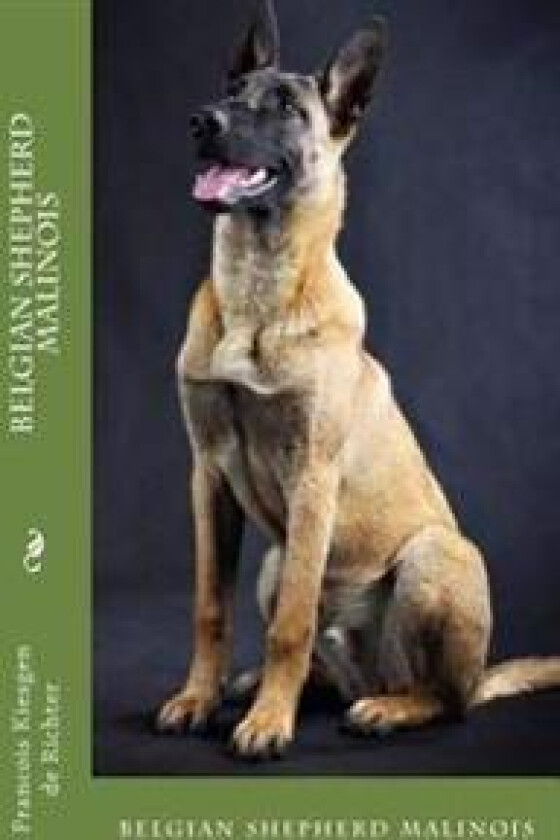 Belgian Shepherd Malinois
