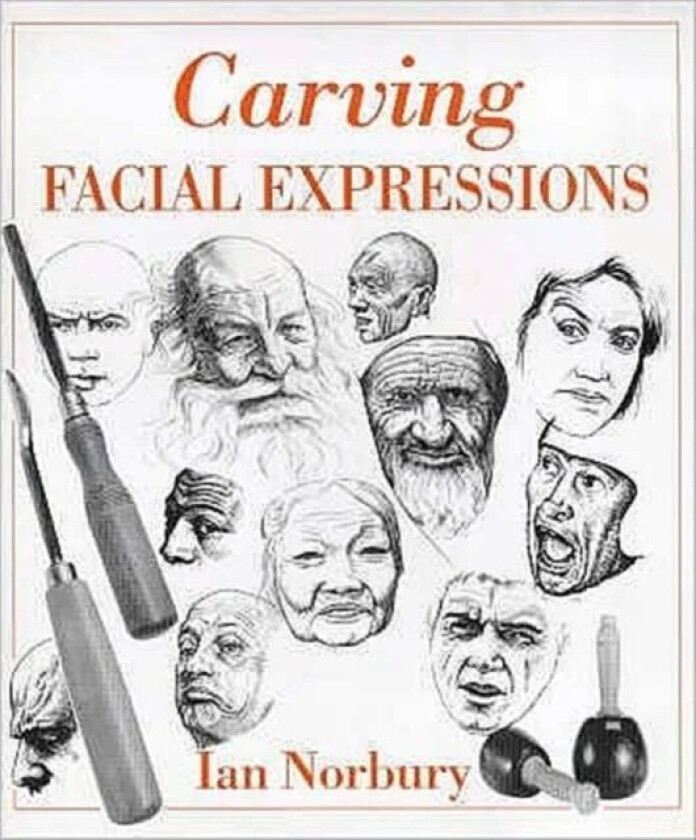 Carving Facial Expressions av Ian Norbury