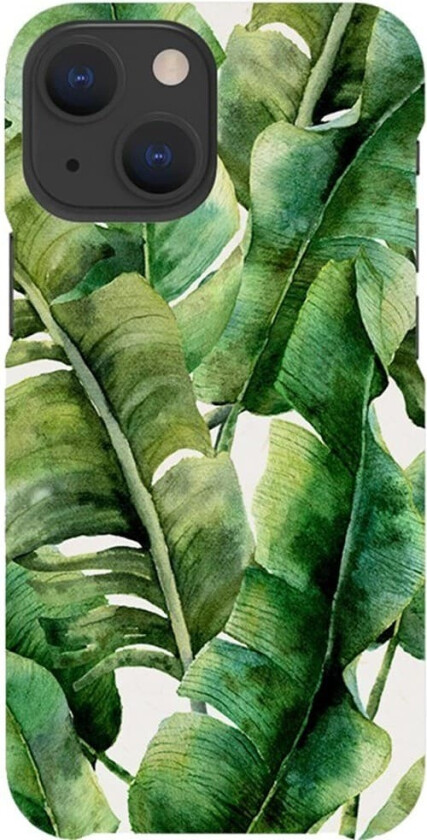 agood company iPhone 13 Mini Deksel Plantebasert Palm Leaves