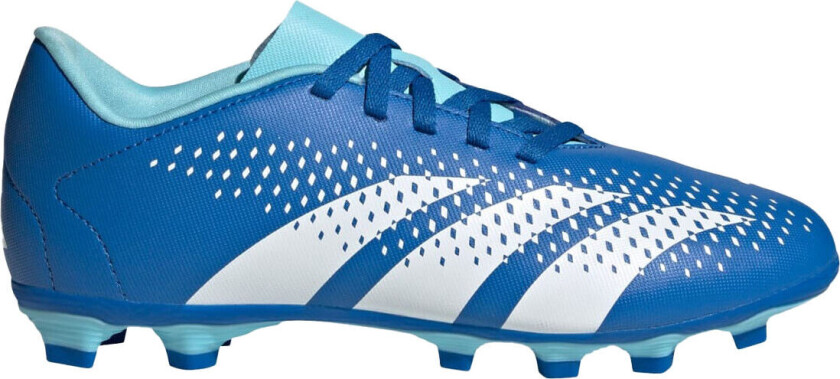 adidas Predator Accuracy.4 FxG Jr / Q4 23, fotballsko gress, grus og kunstgress, unisex Bright Royal/ftwr Wh