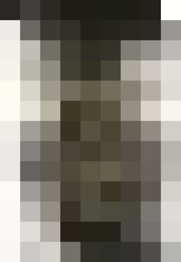 Bartenderen på Hotel Ritz | Philippe Collin | Språk: Dansk