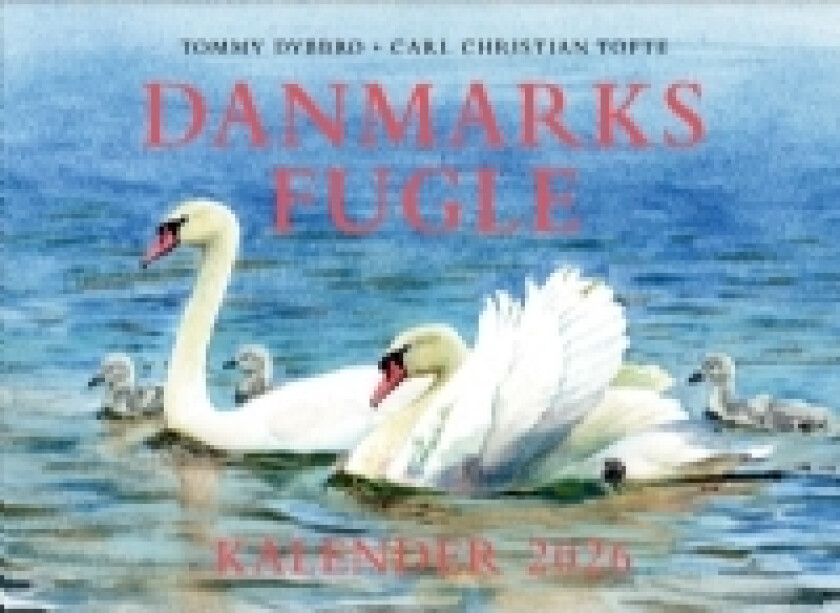 Danmarks fugle - kalender 2026 | Carl Christian Tofte Tommy Dybbro | Språk: Dansk