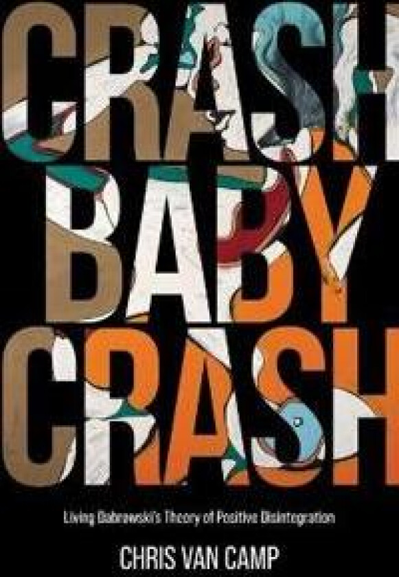 Crash Baby Crash