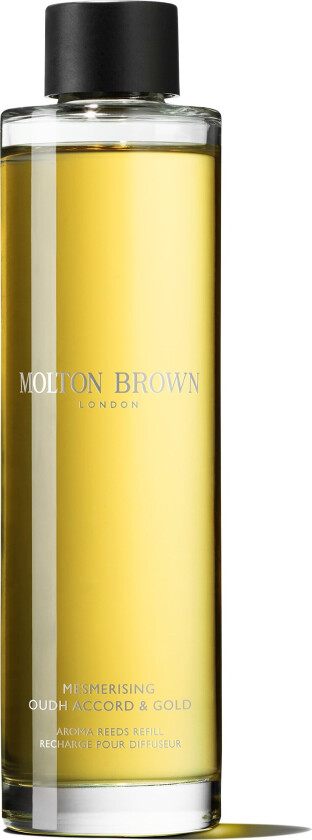 Mesmerising Oudh Accord & Gold Aroma Reeds Refill 15