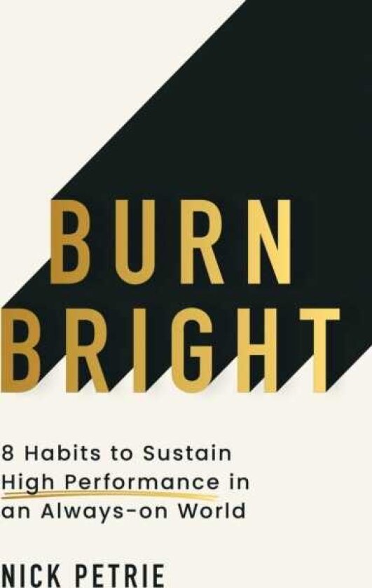 Burn Bright 8 Habits to Sustain High Performance in an Alwayson World