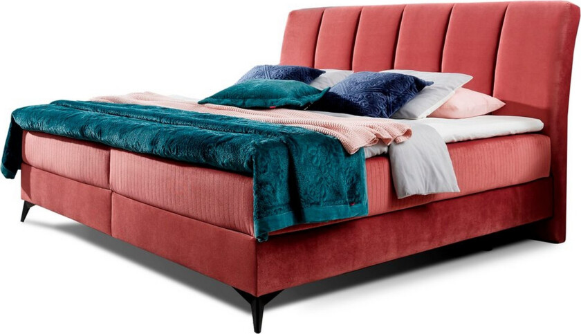 Kontinentalseng Eltap Aderito - 180x200 cm, Kronos 29, Kronos 29 Pasy 2, Rosa