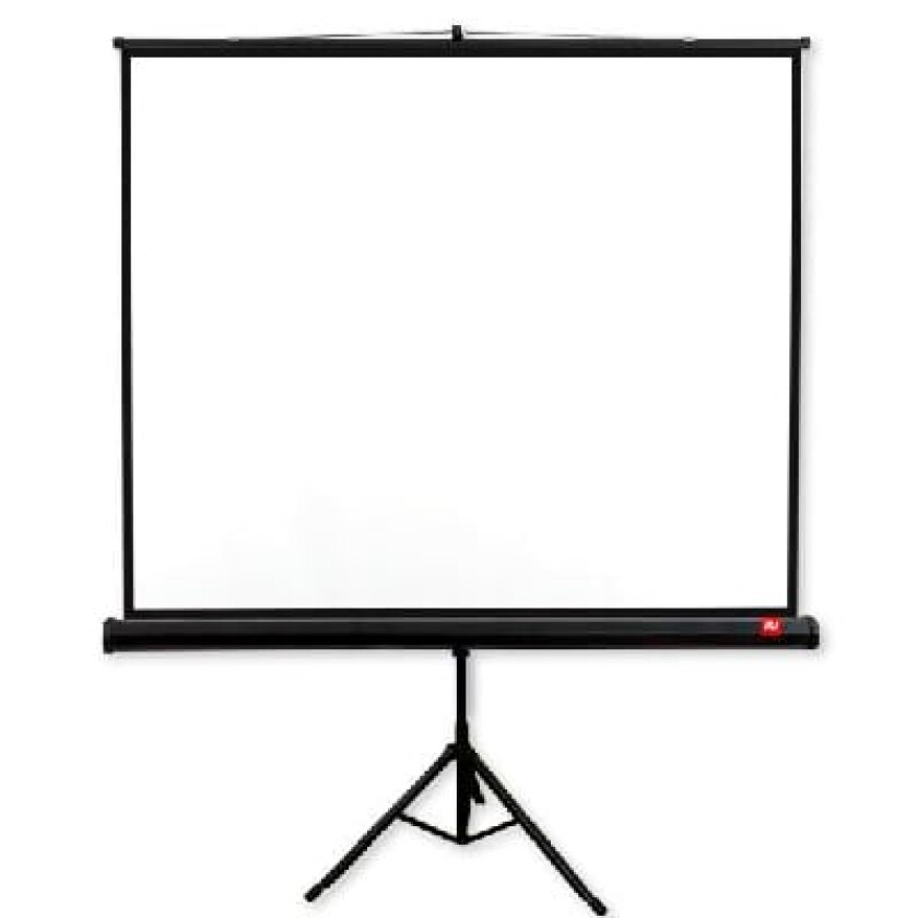 Avtek TRIPOD Pro 180 projection screen 1:1