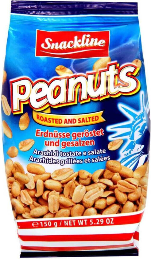 Saltade Jordnötter 150g