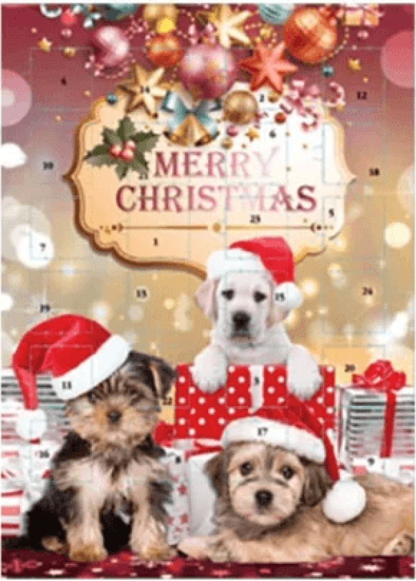 Adventskalender Choklad Hund 75g