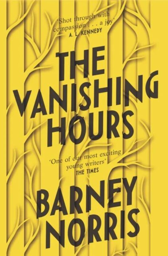 The Vanishing Hours av Barney Norris