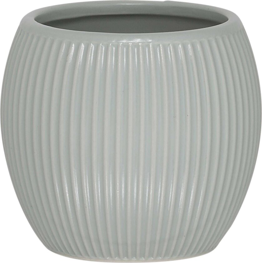Convex Tannglass Lys blå