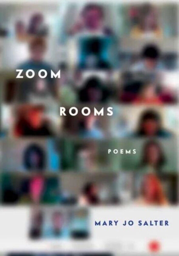 Zoom Rooms av Mary Jo Salter