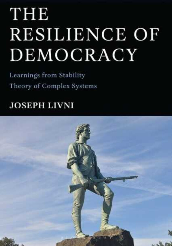 The Resilience of Democracy Learnings from Stability Theory of Complex Systems