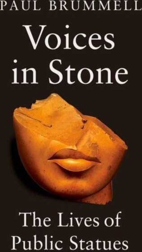 Voices in Stone The Lives of Public Statues