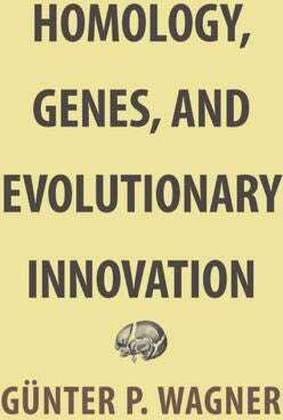 Homology, Genes, and Evolutionary Innovation