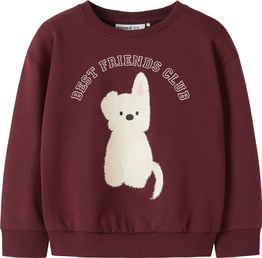 Collegegenser - NmfViloui - Burgundy/Beste Friend Klubb - - 6 år (116) - Collegegenser