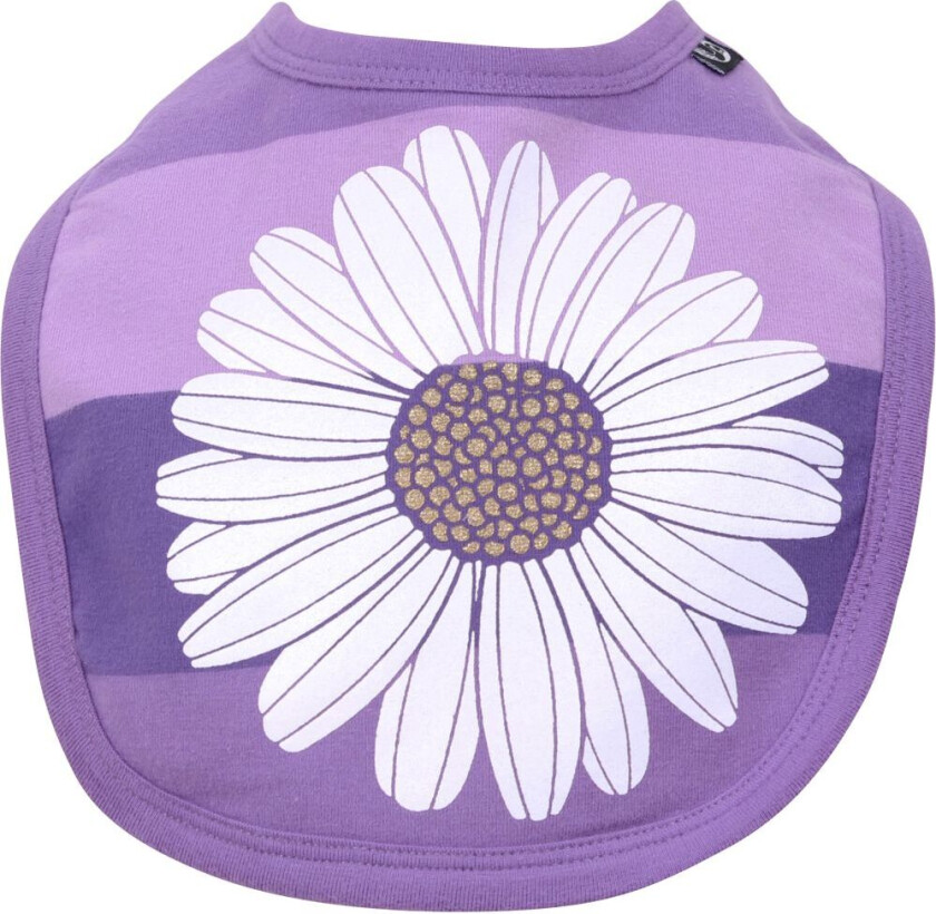 Bilde av Smekke - Danskkål - Lilla Stripete Marguerite - - OneSize - Smekke