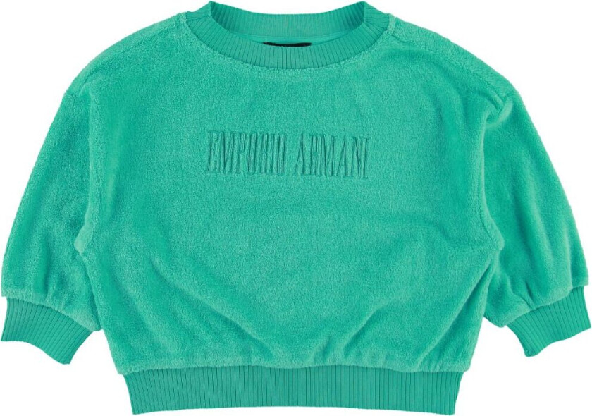 Genser - Grønn - - 4 år (104) - Genser