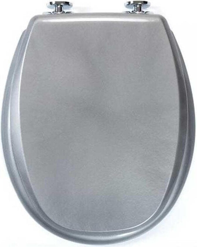 KAN 3001 Exclusive Toalettsete - Universalsete Silvermetallic