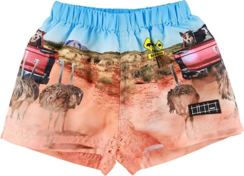 Badeshorts - UV50+ - Newton - In The Bush - - 56/62 - Badetøy