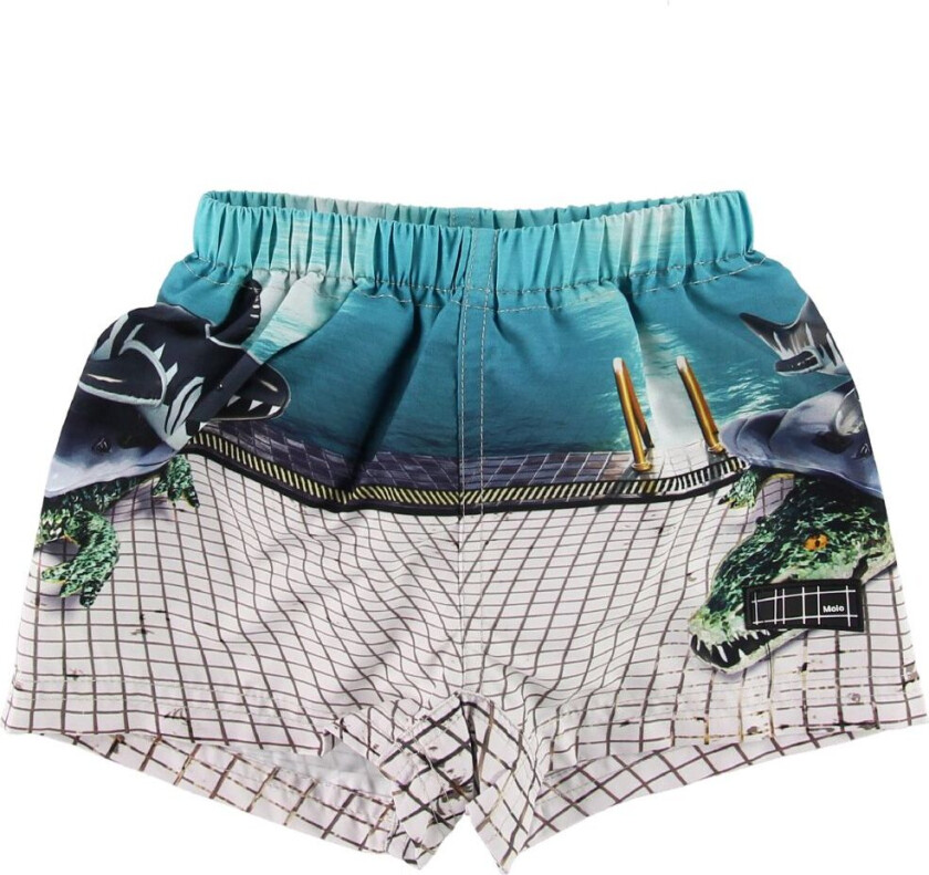Badeshorts - UV50+ - Newton - Pool Slide - - 56/62 - Badetøy